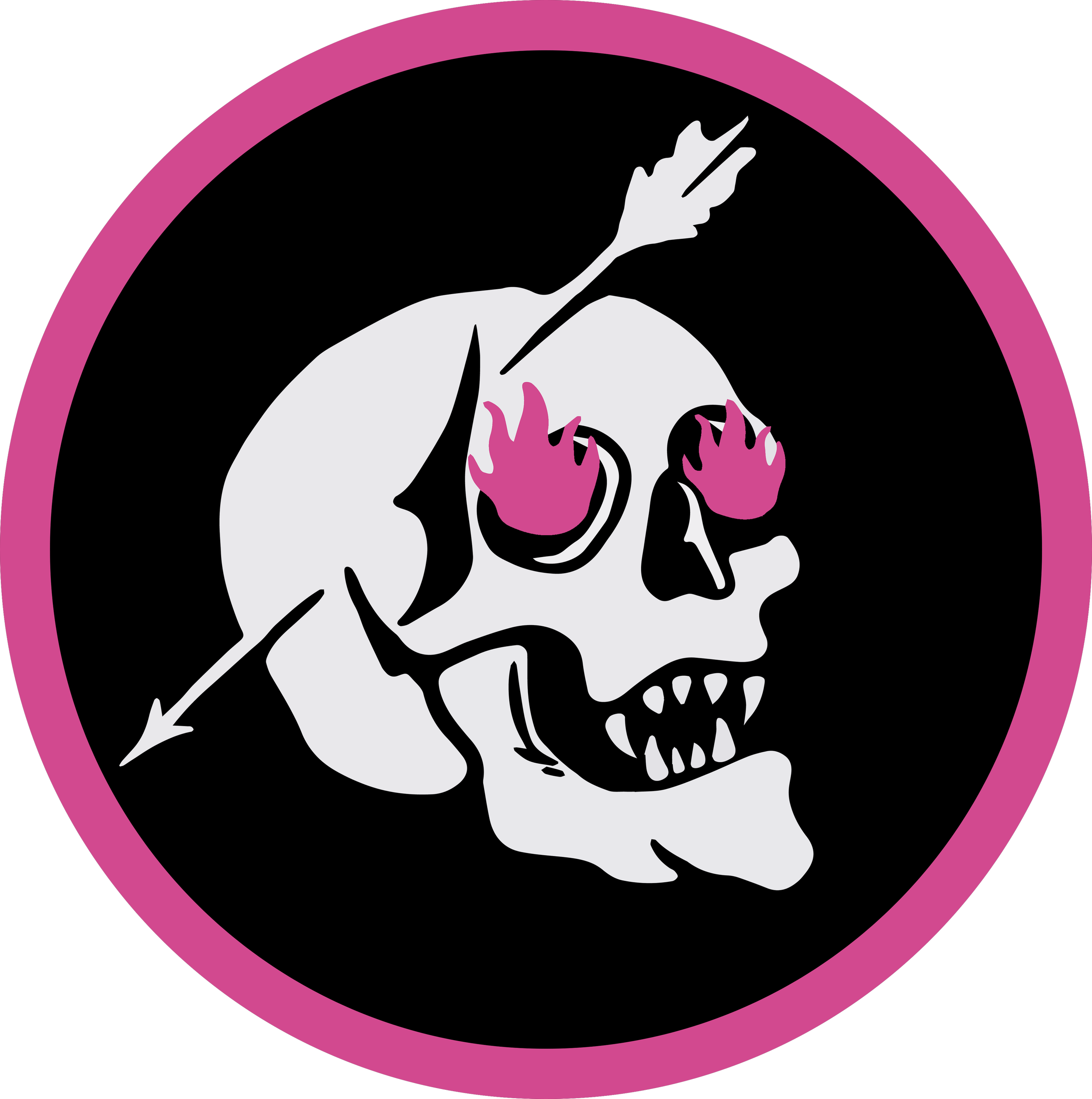 The Pink Spiders